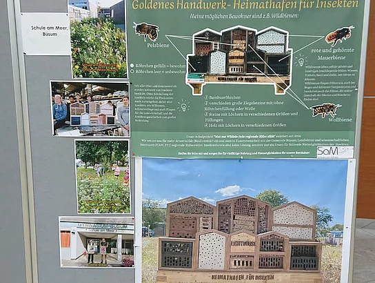 Schülerinnen und Schüler der SaM informieren an ihrem Stand im Kreishaus über ihre Projekte